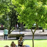 Campo De Ourique Premium Lisboa